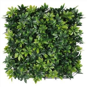 Keinotekoinen Boxwood Hedge Paneelit Mat