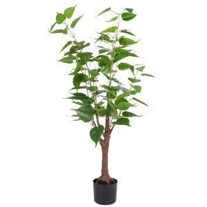 Keinotekoiset kasvihuonekasvit Ficus Tree