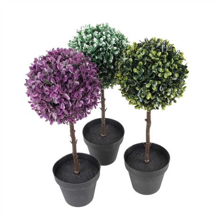 Tree Of Three Types Purple Or White
