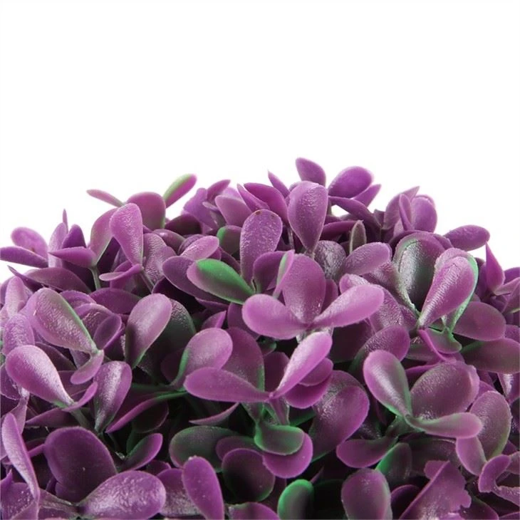 Tree Of Three Types Purple Or White