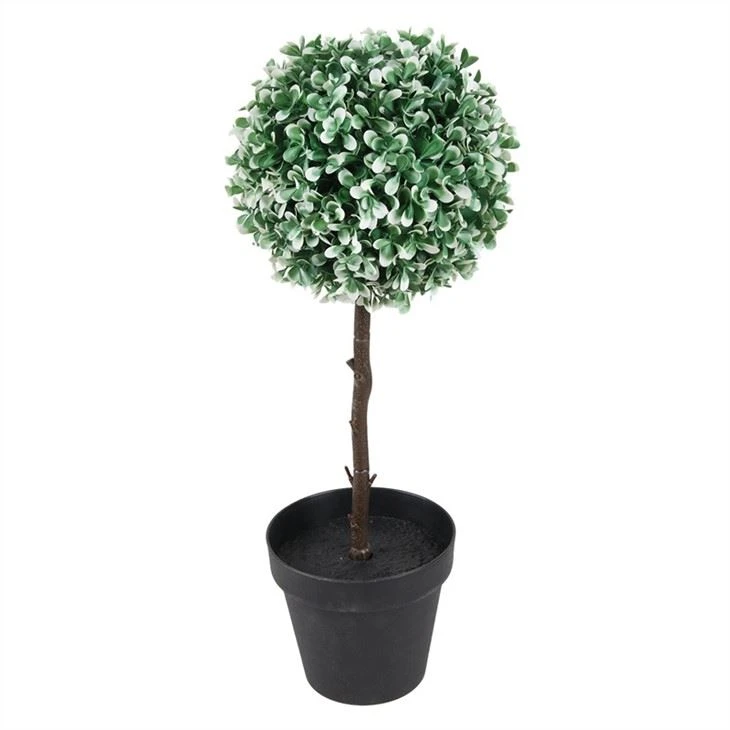 Tree Of Three Types Purple Or White