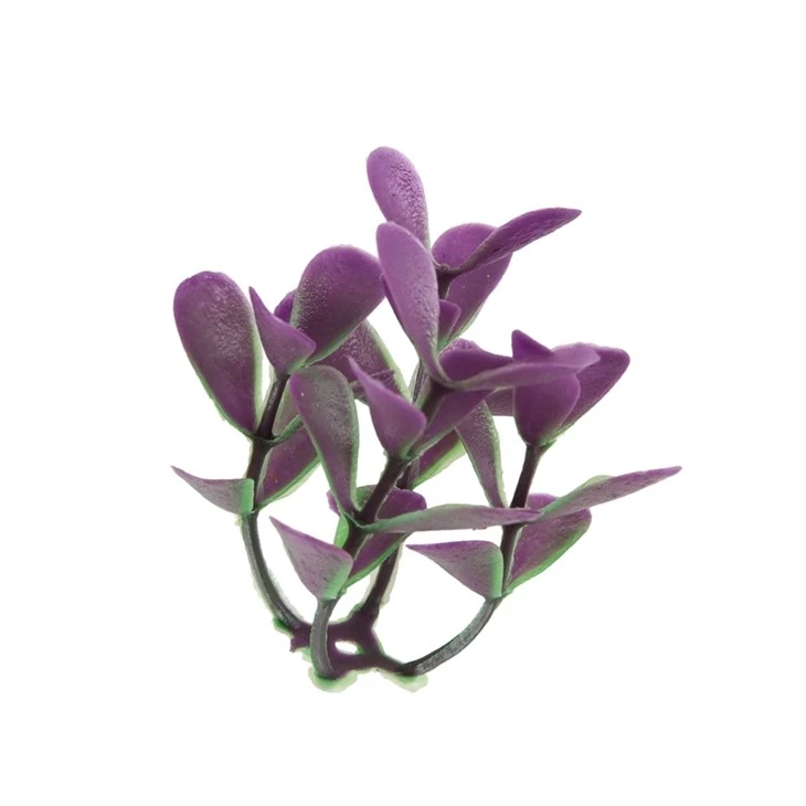 Tree Of Three Types Purple Or White